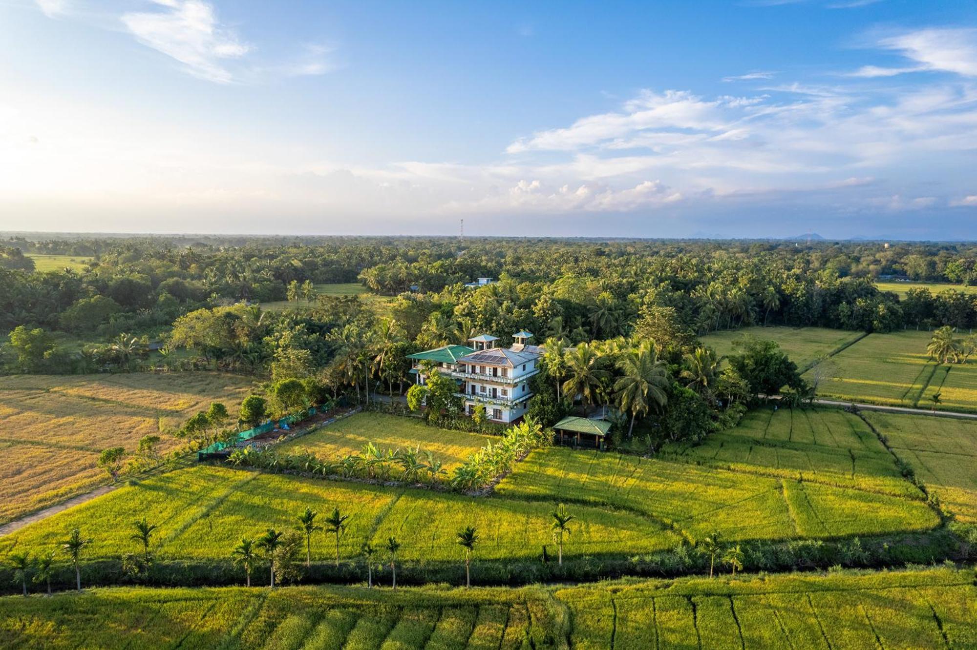 Mailagama Cinnamon Residence Kataragama Exterior photo